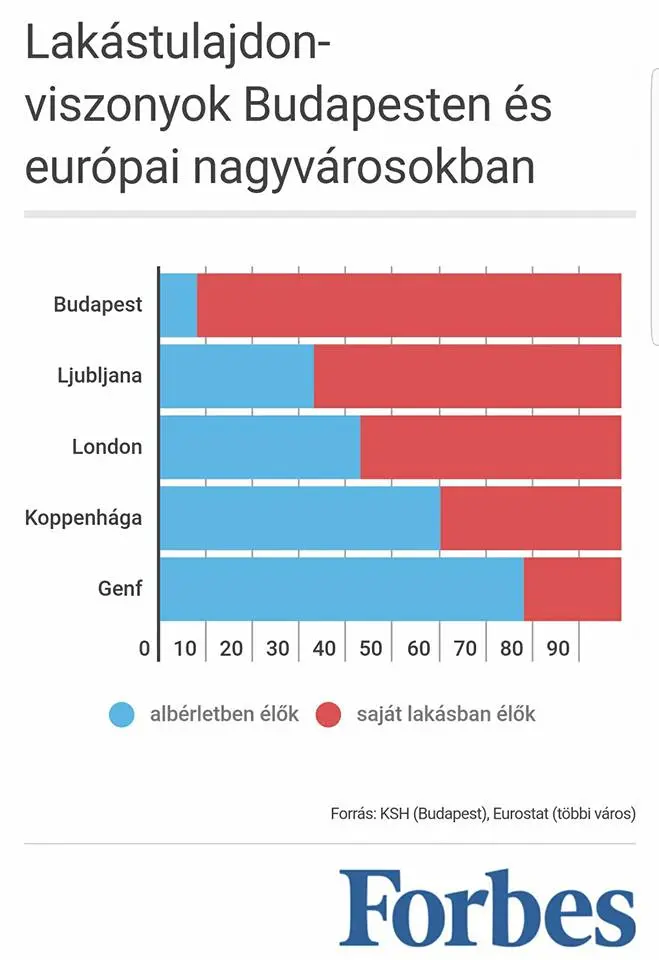 Napraforgó szindróma